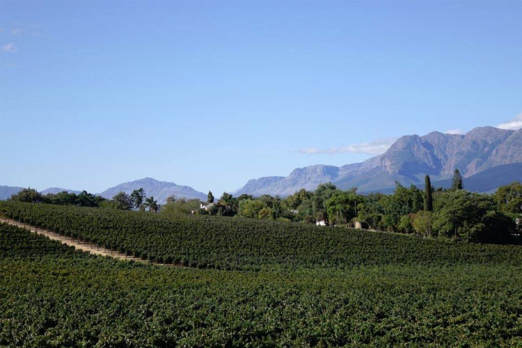 Cape Town Winelands Paarl